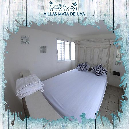 Villas Mata De Uva Heroica Alvarado Exterior foto